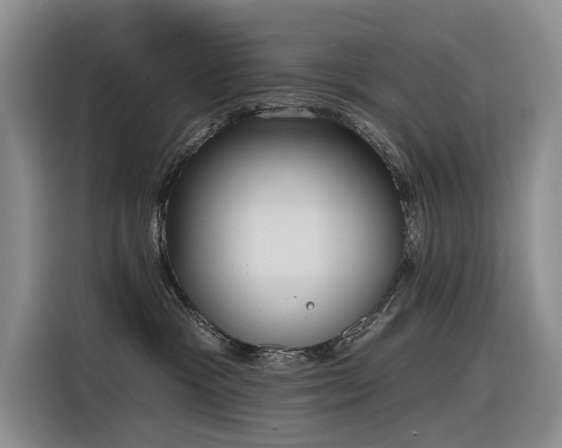 X0000116380333200912021524