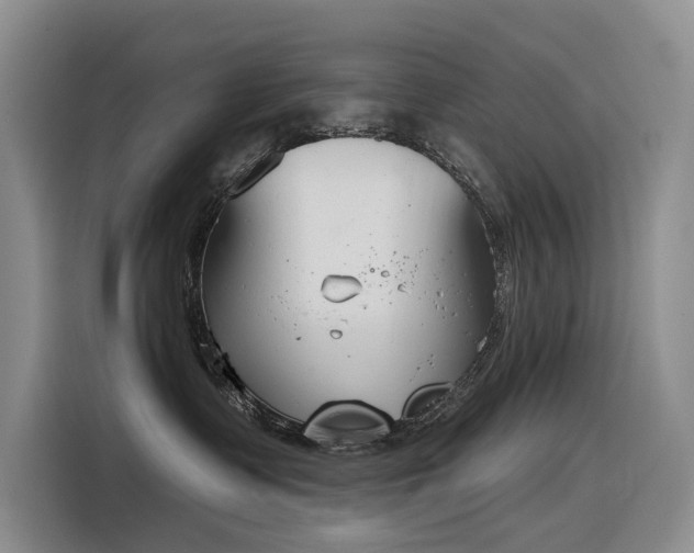X0000116380335200912021524