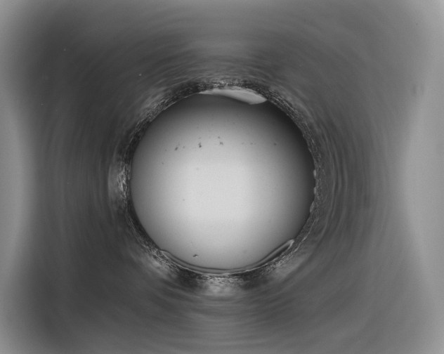 X0000116380336200912021524