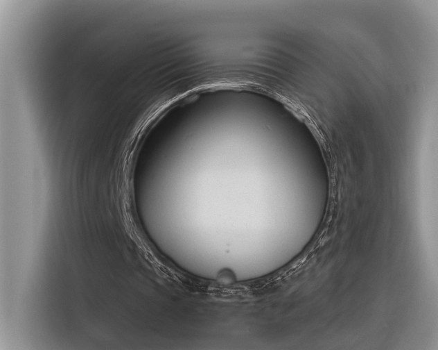 X0000116380337200912021524