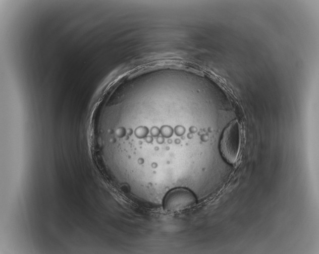 X0000116380339200912021524