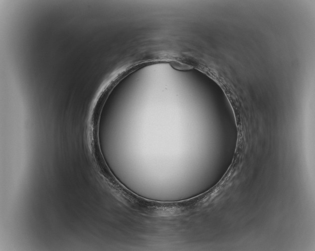 X0000116380342200912021524