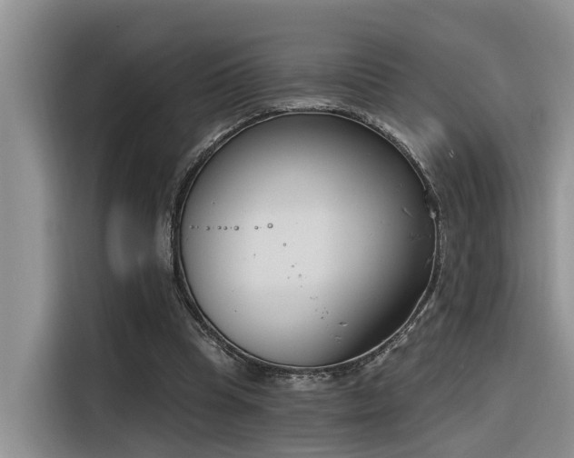 X0000116380345200912021524