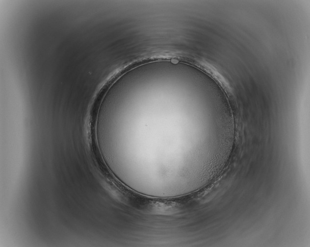 X0000116380346200912021524