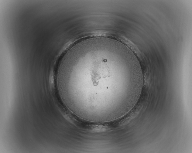 X0000116380347200912021524