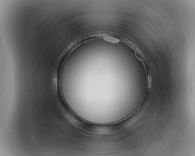 X0000116380349200912021524
