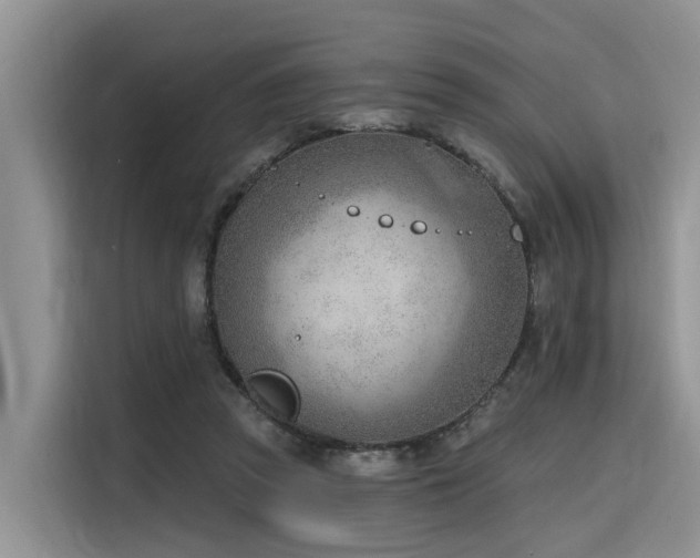 X0000116380353200912021524