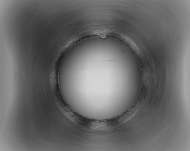 X0000116380354200912021524