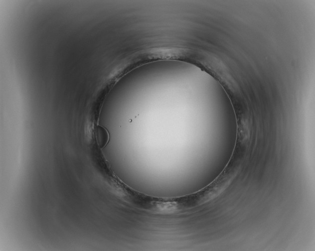 X0000116380355200912021524