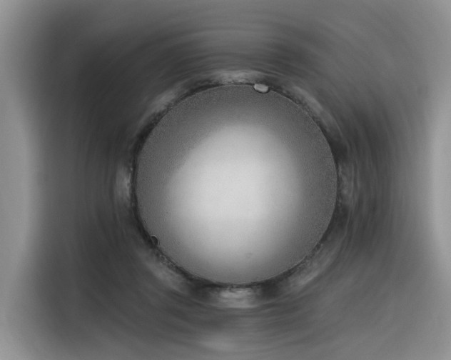 X0000116380357200912021524