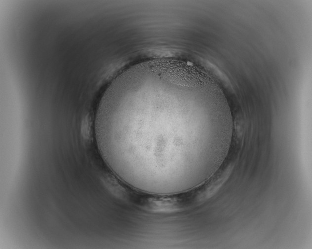X0000116380359200912021524