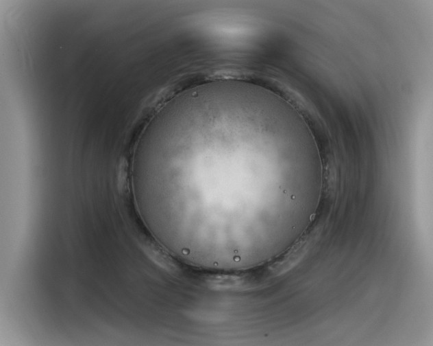 X0000116380361200912021524
