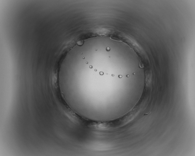 X0000116380365200912021524