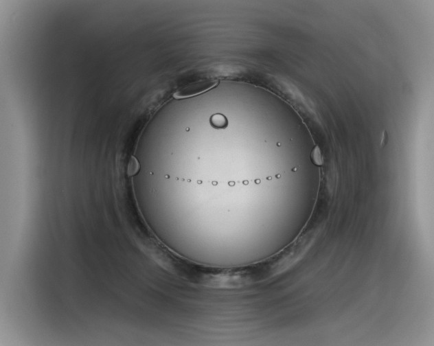 X0000116380366200912021524
