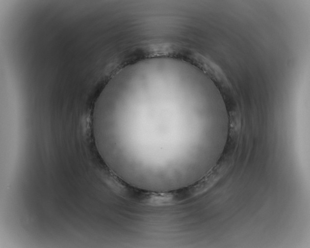 X0000116380369200912021524