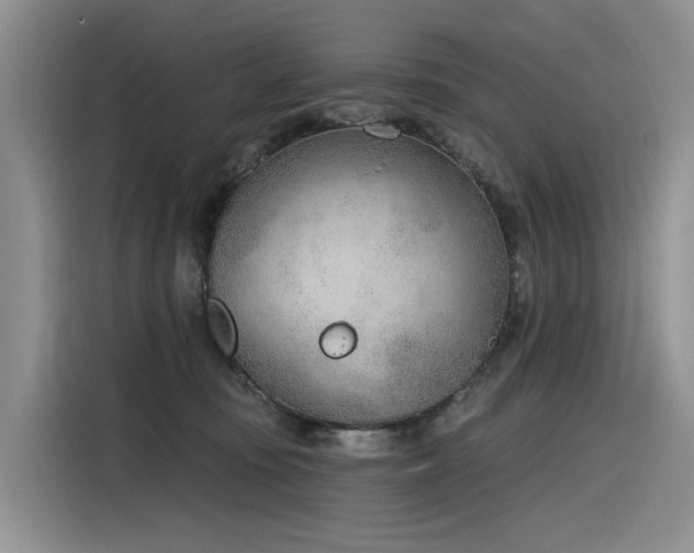 X0000116380371200912021524