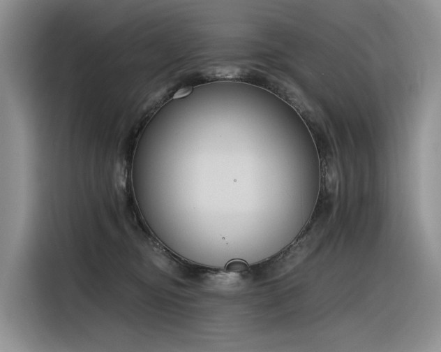 X0000116380374200912021524