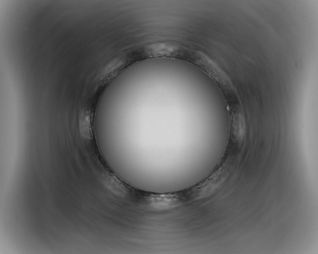 X0000116380378200912021524