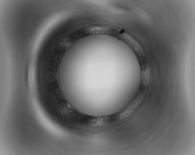 X0000116380381200912021524