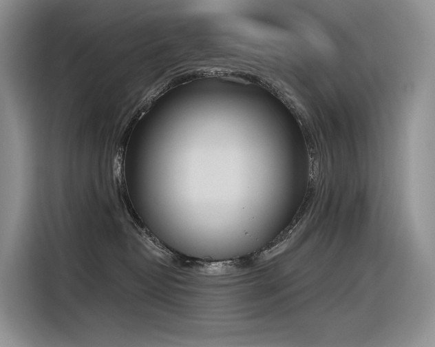 X0000116380382200912021524