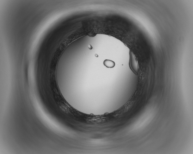 X0000116380383200912021524