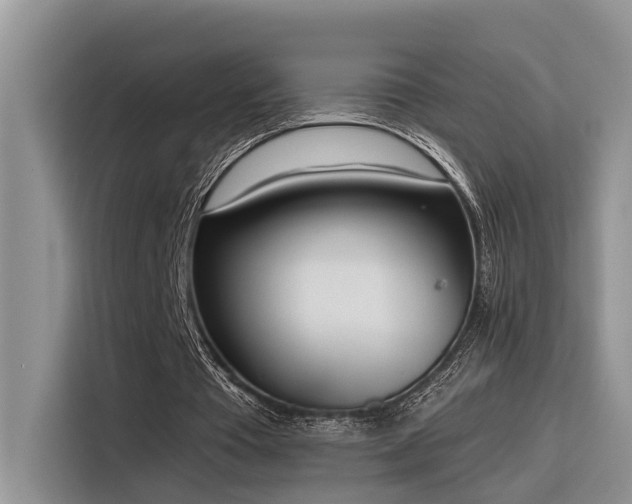 X0000116380385200912021524