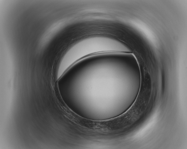 X0000116380387200912021524
