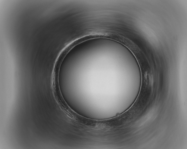 X0000116380388200912021524