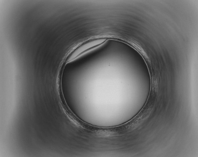 X0000116380389200912021524
