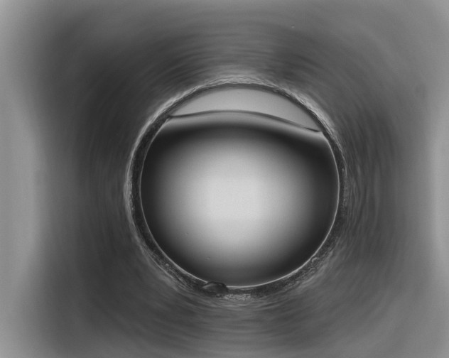 X0000116380391200912021524
