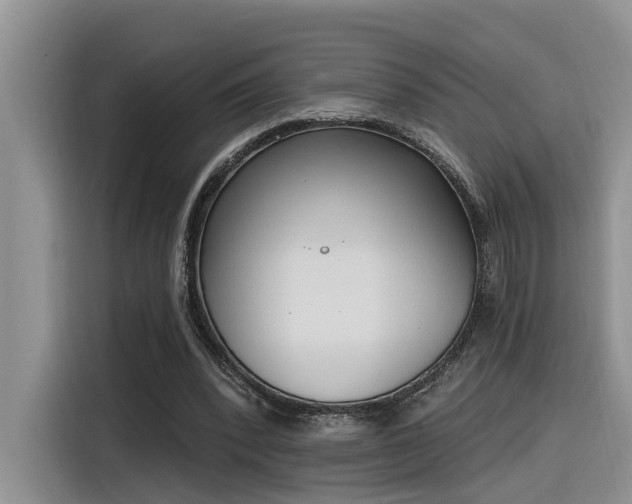 X0000116380392200912021524