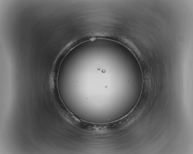 X0000116380395200912021524