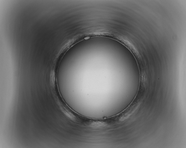 X0000116380397200912021524