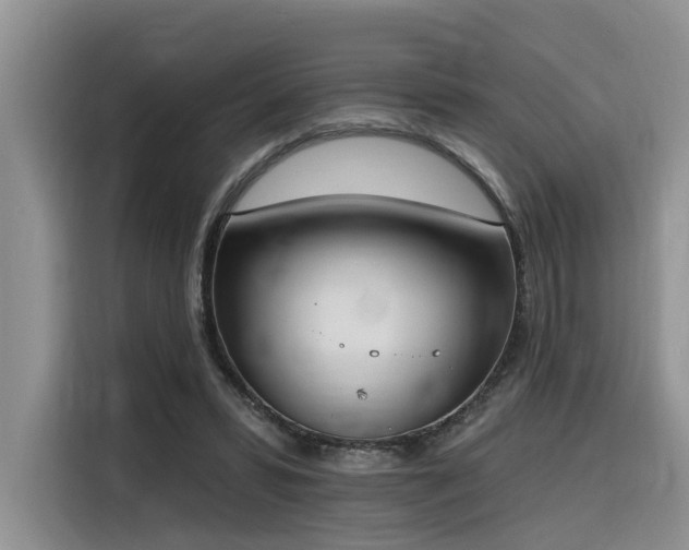 X0000116380399200912021524