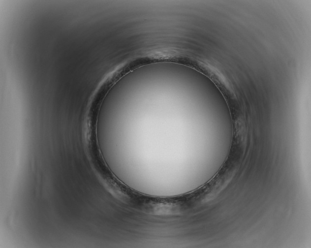 X0000116380400200912021524