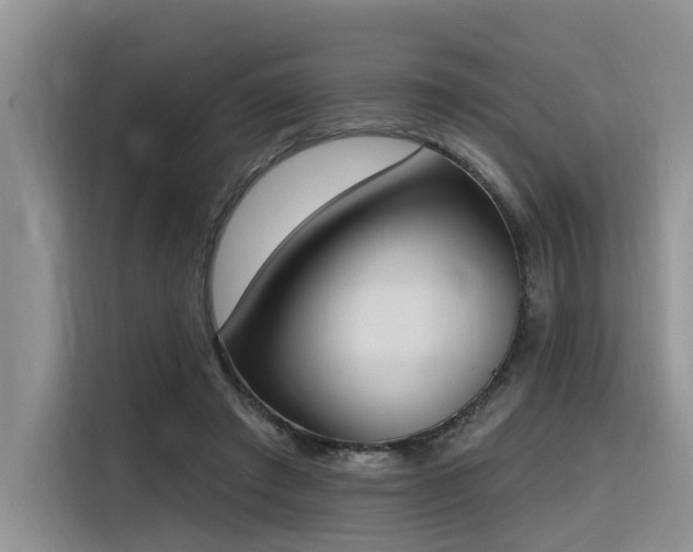X0000116380401200912021524