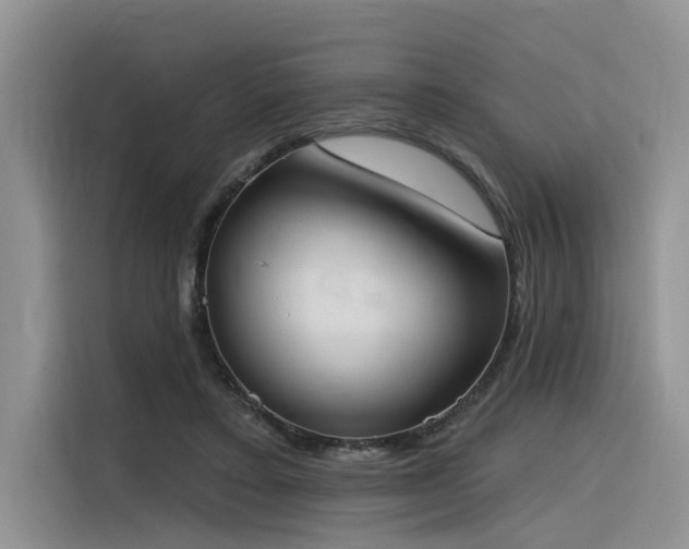 X0000116380403200912021524