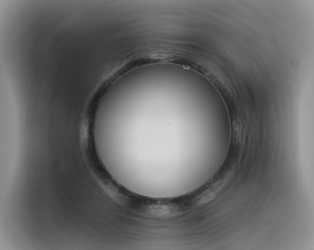 X0000116380404200912021524