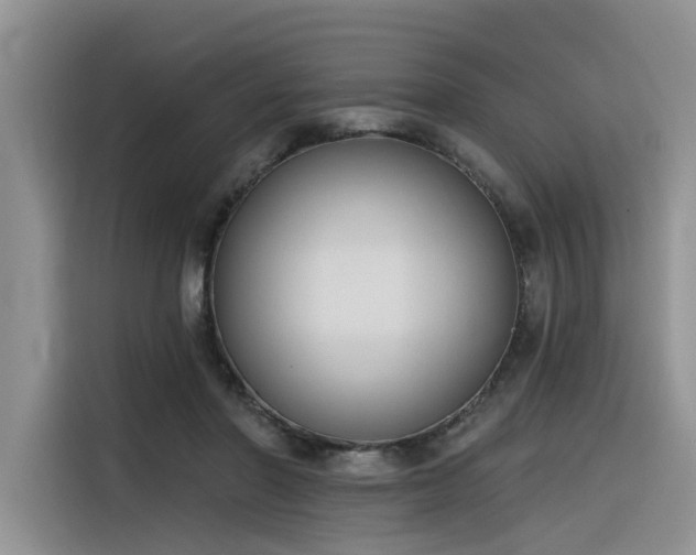 X0000116380406200912021524