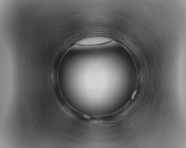 X0000116380408200912021523