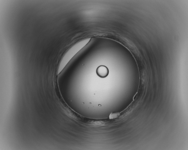X0000116380409200912021523