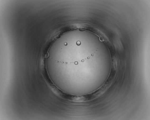 X0000116380410200912021523