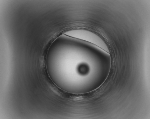 X0000116380411200912021523