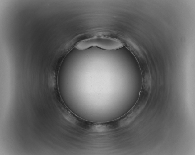 X0000116380413200912021523