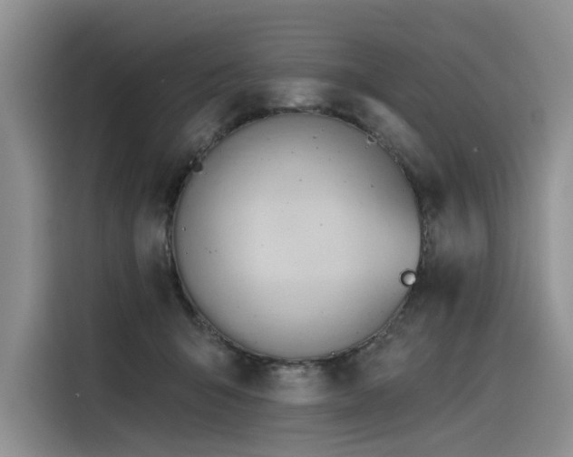 X0000116380415200912021523