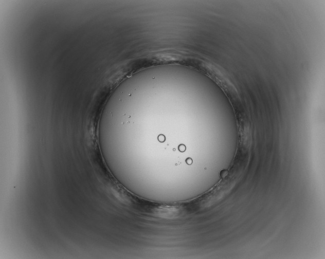 X0000116380418200912021523