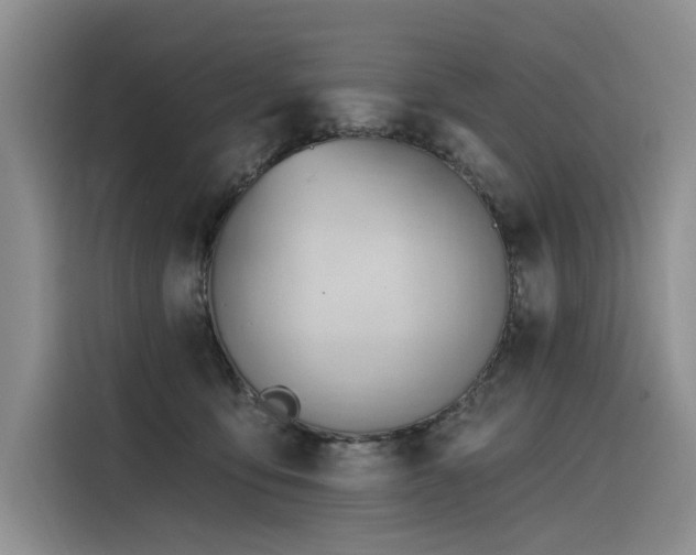 X0000116380419200912021523