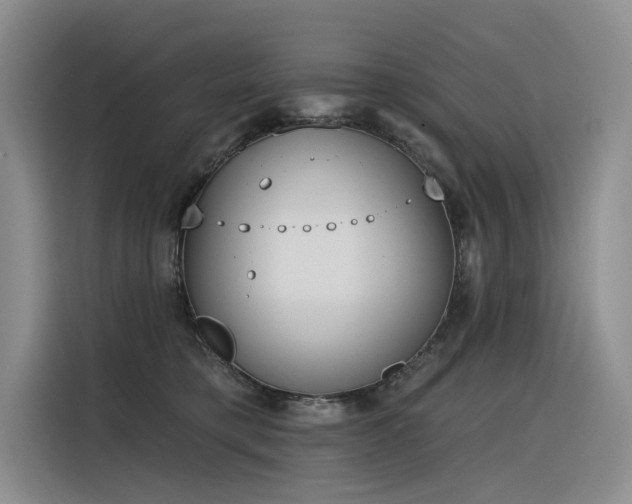 X0000116380421200912021523