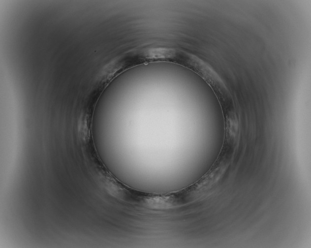 X0000116380422200912021523