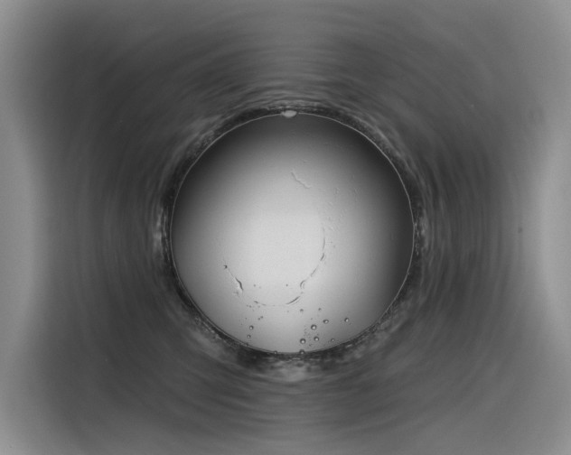 X0000116380423200912021523